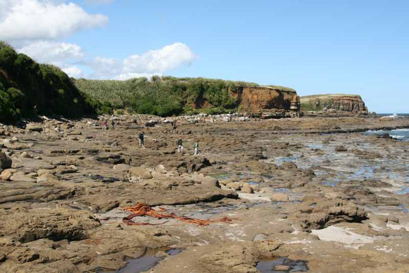 Nieuw-Zeeland 2011 - 1839